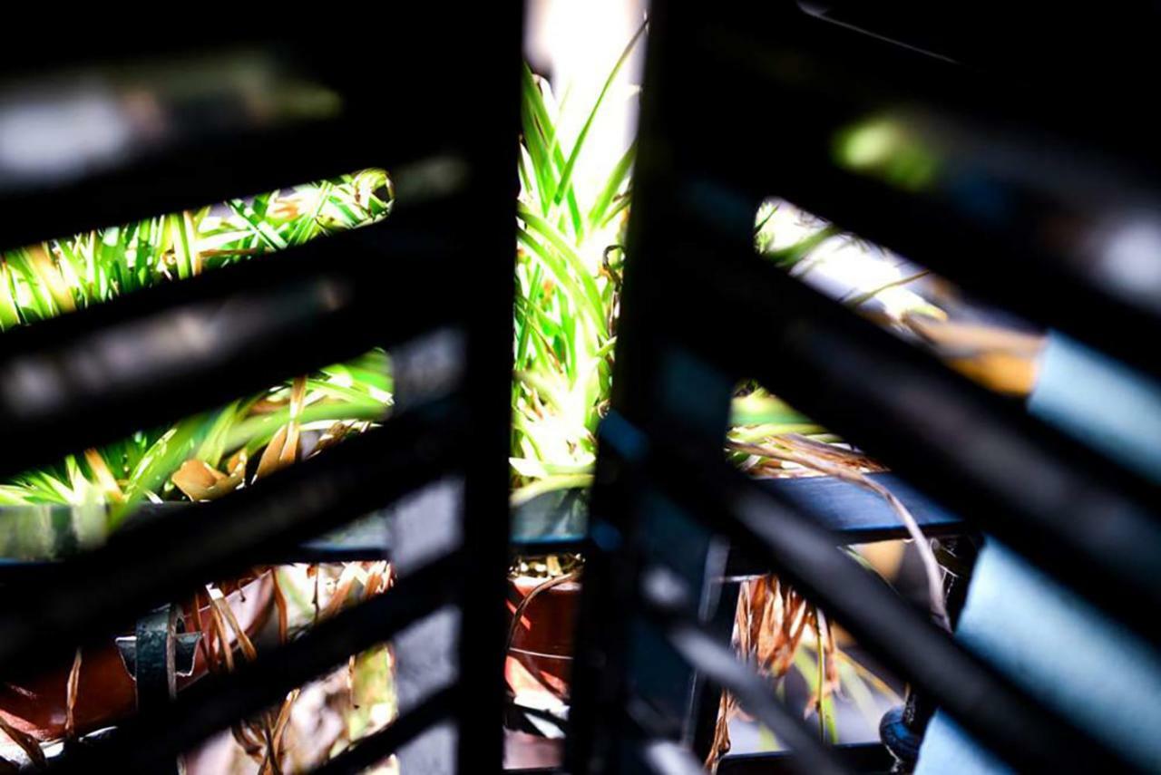 Casa Alfalfa 2 Dormitorios Terraza Y Solarium Privado Sevilla Eksteriør bilde
