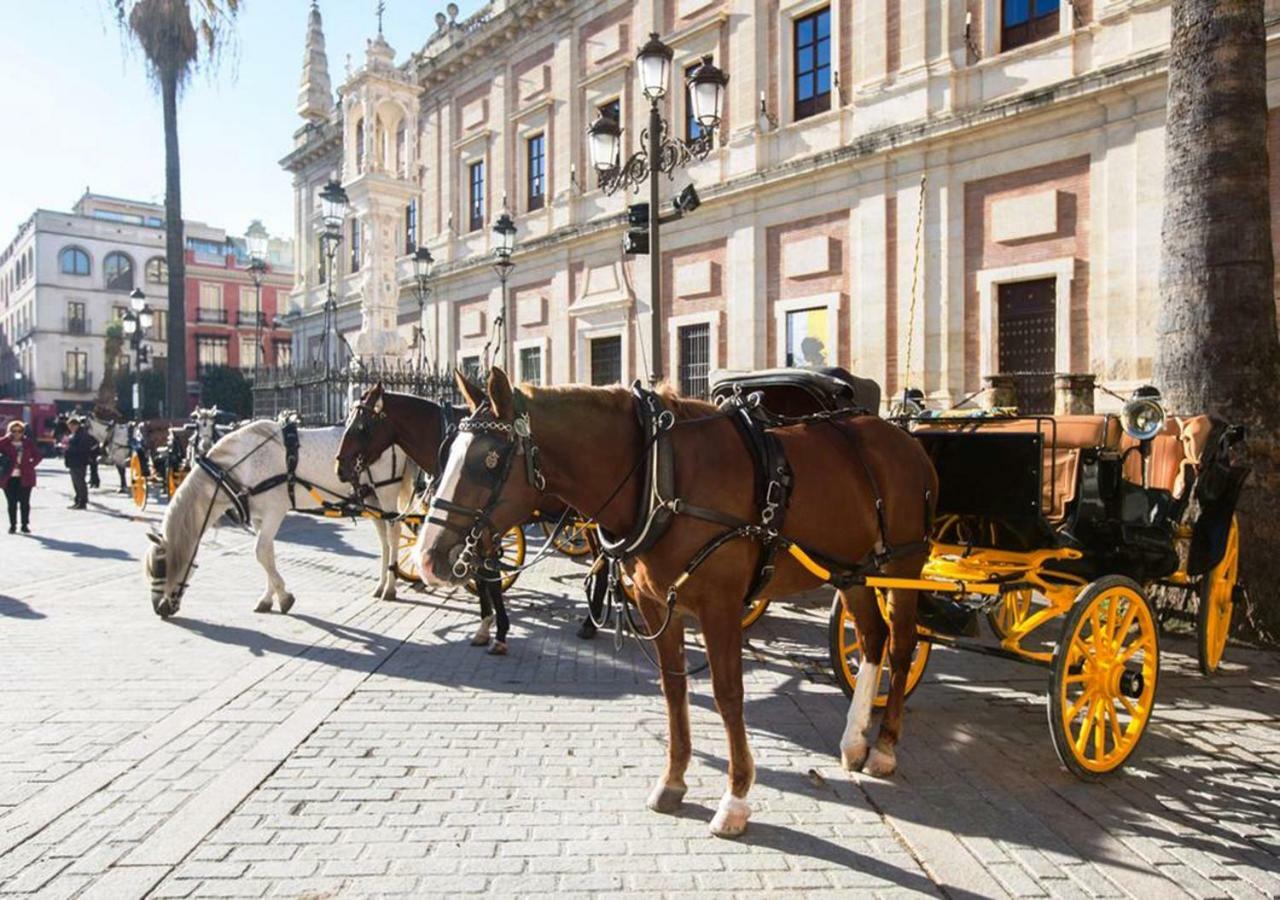 Casa Alfalfa 2 Dormitorios Terraza Y Solarium Privado Sevilla Eksteriør bilde